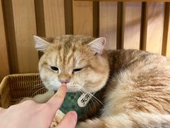 -天井·丑面包搭咖啡