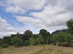 -塔川景区