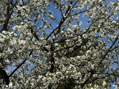 -重庆中央公园(渝北区)