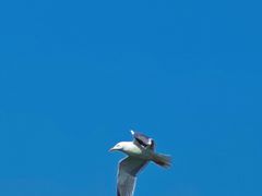 -丁香湖公园