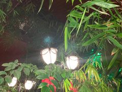 -大鹅岛绿色生态美食园