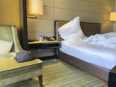 -东莞君源铂尔曼酒店