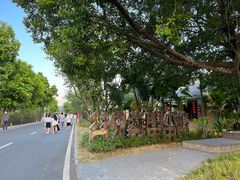-光明小镇欢乐田园