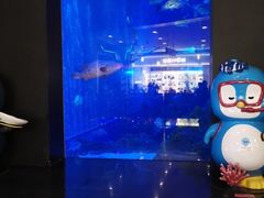 -成都浩海立方海洋公园