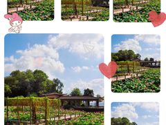 -广州莲花山旅游区