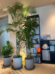 -芳香乐府疗愈空间·SPA·冥想