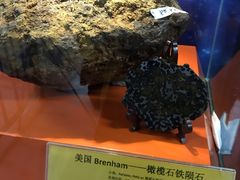 -紫金山天文台