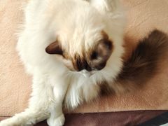 -零纪元VR体验馆·桌游(黄浦店)