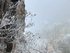 -金子山原生态旅游风景区