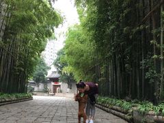-龙潭水乡