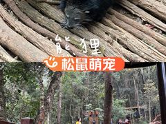-普洱太阳河森林公园