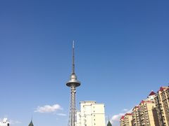 -龙塔