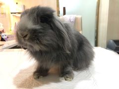 -雨林宠物医院 非犬猫异宠专科