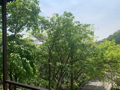 -林中乐辣子鸡(歌乐山总店)
