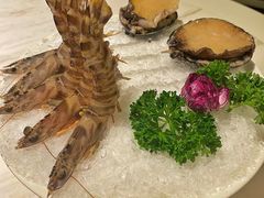 -汤城·料青山
