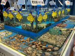 -海铺·渔家虾水饺(皇姑店)