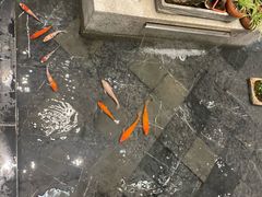-苏州人家·精致苏帮菜(斜塘店)