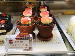 -85度C(生甜甜圈研究工坊·上海平凉店)