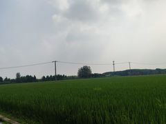 -嘉北郊野公园
