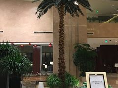 -常州环球恐龙城维景国际大酒店