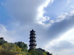-江心屿景区