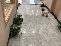 -瑞派名望24h动物医院异宠专科·猫专科·骨科·重症监护分院