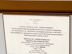 -尼依格罗香港美利酒店