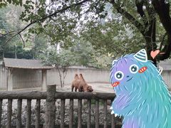 -成都动物园