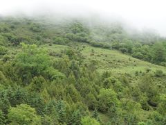 -硗碛藏寨·神木垒景区