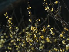 -颐和园