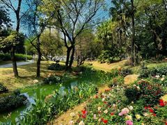 -人民公园(罗湖区)