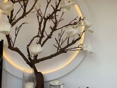 -不凡脑禅境·养生·舒压调理SPA(华发世纪城店)
