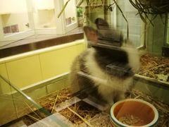 -龙猫仔乐园(惠福东路店)