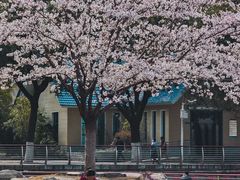 -西北湖绿化广场