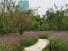 -徐州博顿温德姆酒店(高铁东站店)