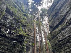 -梭布垭石林景区