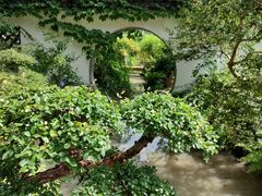 -上海醉白池公园