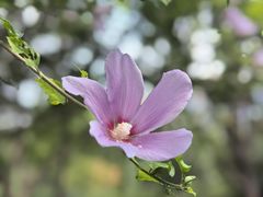 -木塔寺遗址生态公园