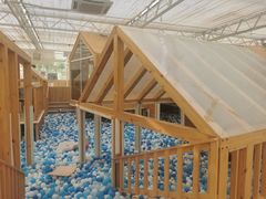 -日光山谷营地乐园