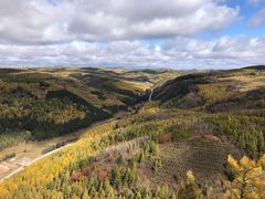 -塞罕坝国家级自然保护区