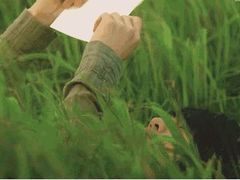 -东莞植物园