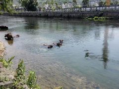 -杭州双溪漂流景区