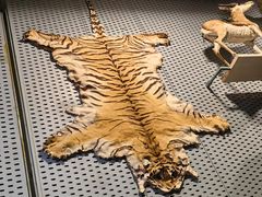 -浙江自然博物院(杭州馆)