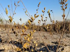 -青州市云门山风景区