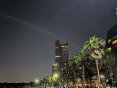 -金沙湖公园