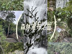 -海南热带雨林国家公园吊罗山景区