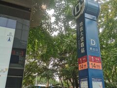 -大望路(地铁站)