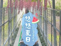 -修水东浒寨风景区
