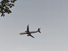 景点-宝安西湾红树林湿地公园