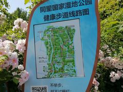 -同里国家湿地公园